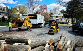 Lawn Pest Prevention in The Village, OK