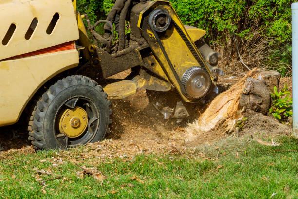 Best Aeration Services  in The Village, OK