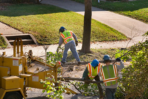Best Seasonal Cleanup (Spring/Fall)  in The Village, OK