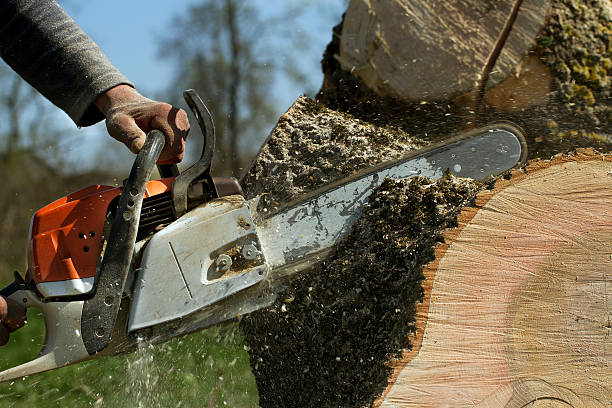 Best Soil Testing and Treatment  in The Village, OK